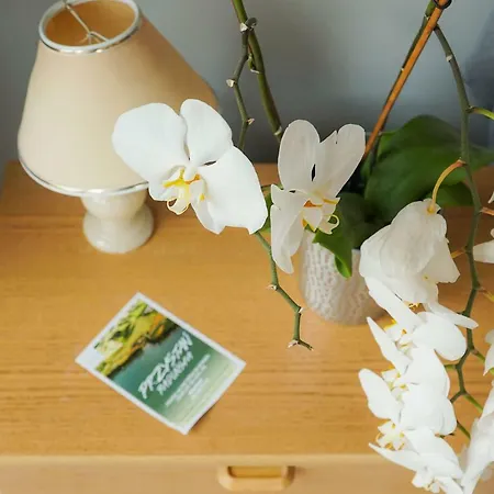 Проживание в семье Przystan Radunska *