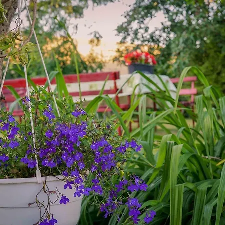 Przystan Radunska Проживание в семье