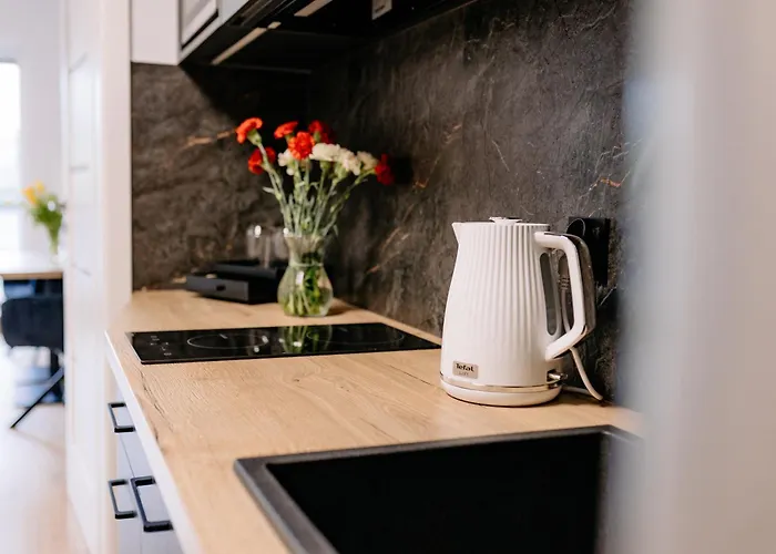 منزل للإقامة Przystan Radunska *