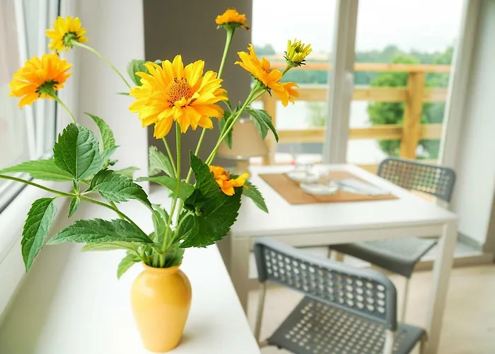 Przystan Radunska * تشميلنا