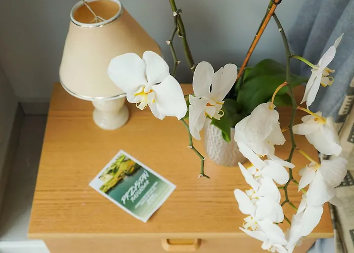 منزل للإقامة Przystan Radunska *