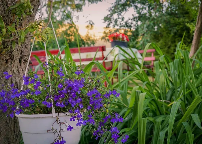 Przystan Radunska منزل للإقامة